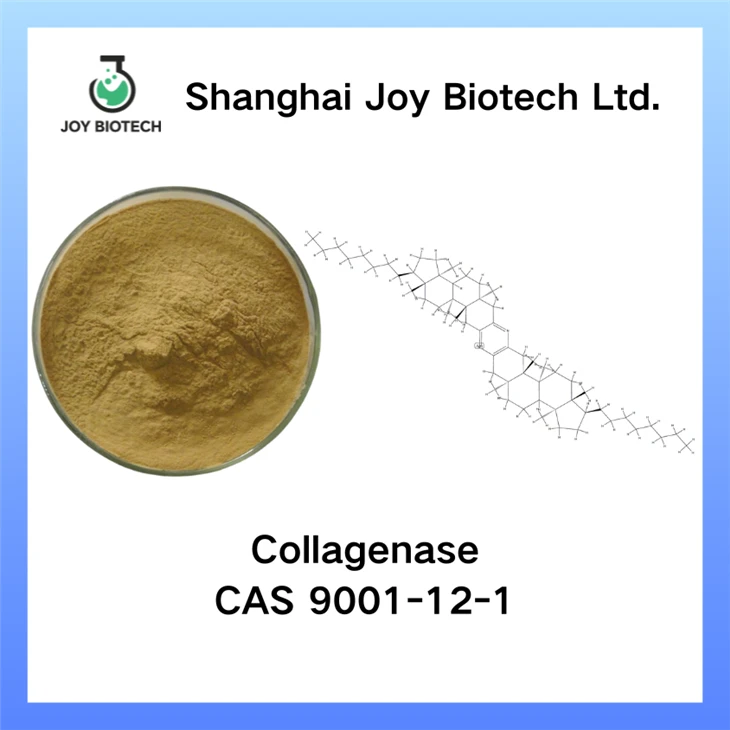 Collagenase A CAS NO 9001-12-1
